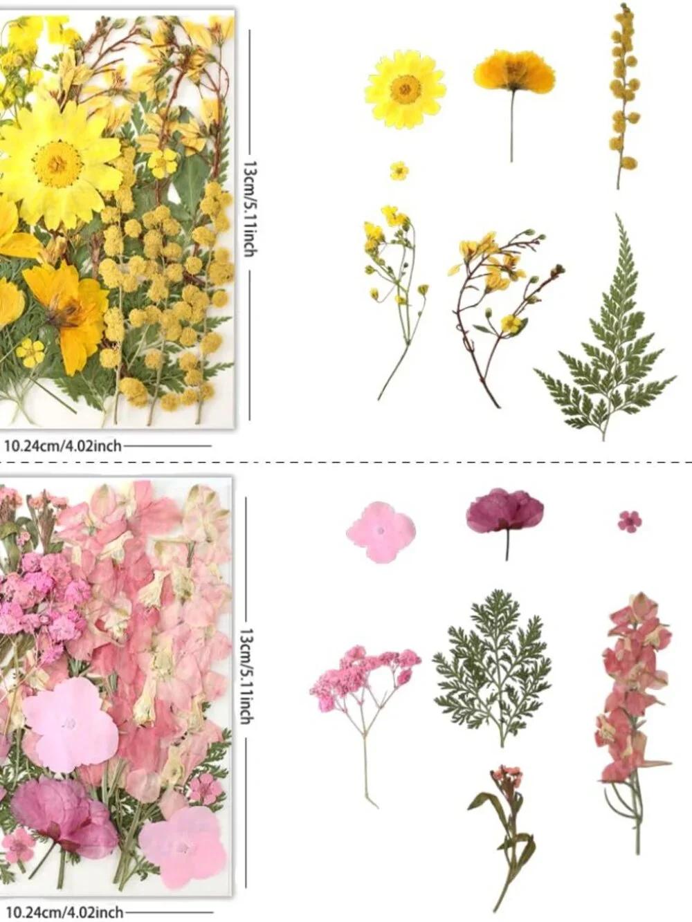 80Pcs Pressed Flowers, Dried Flowers Natural Pressed Flowers Bulk for Resin Mold